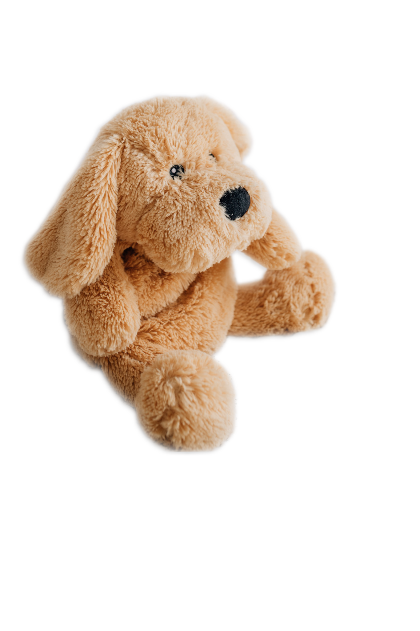 CHARLIE THE WEIGHTED PUPPY DOG