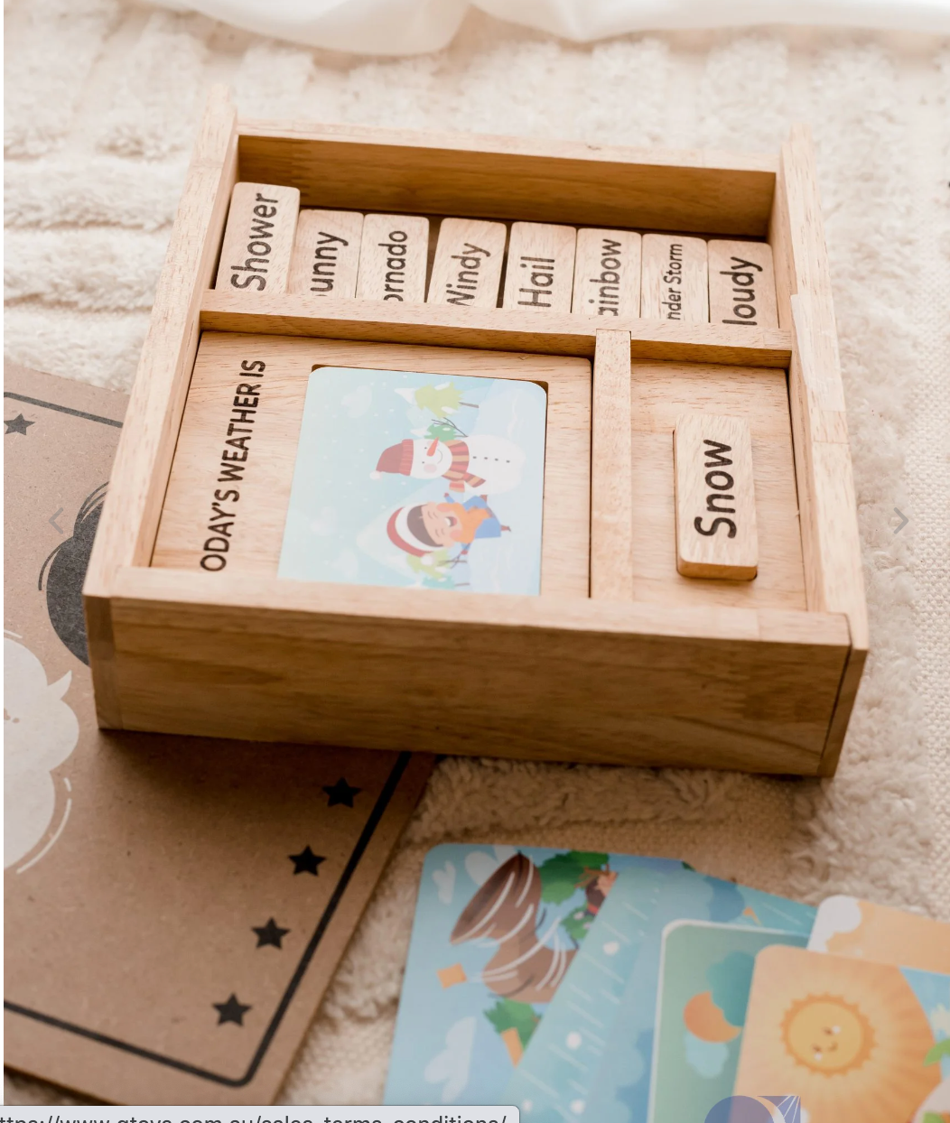 WEATHER PLAY SET